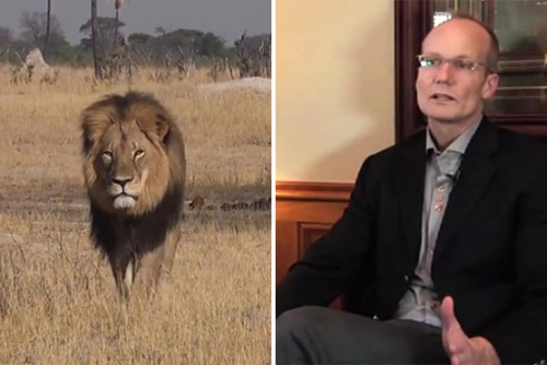 Dentist Who Killed Cecil The Lion, Returns To Work