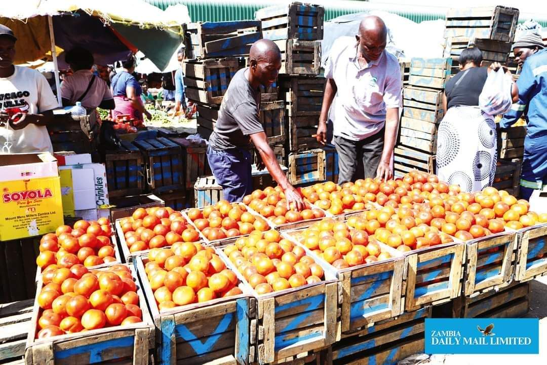 Tomatoe Prices drop from K600 to K500