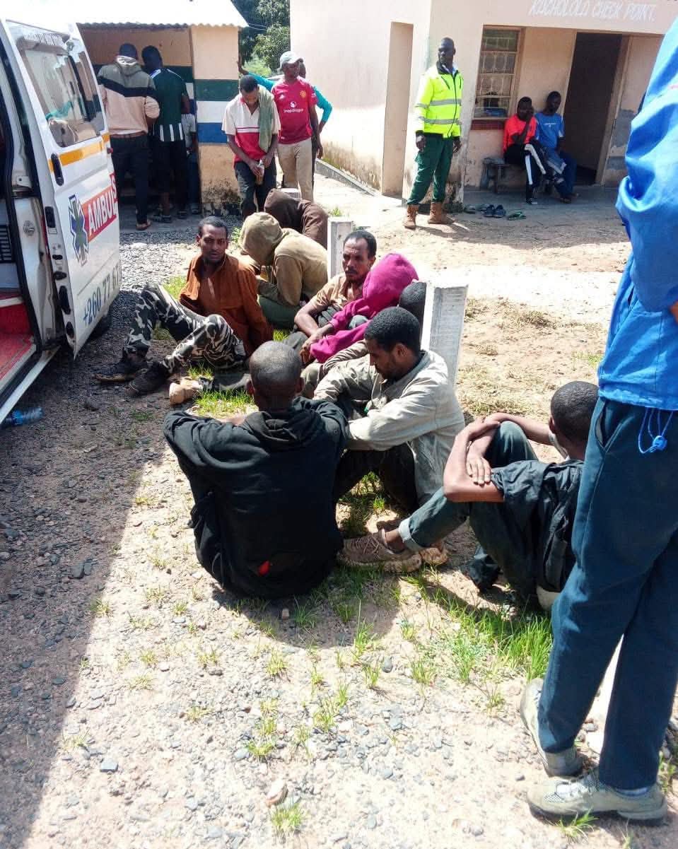 IMMIGRATION INTERCEPTS ILLEGAL IMMIGRANTS IN AMBULANCE OPERATION