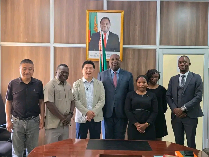 Chinese Investors Eye Zambia Renewable Energy Sector