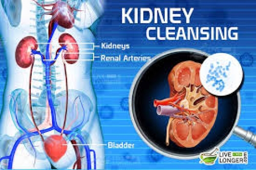 SEVEN DRINKS TO CLEAN THE KIDNEYS.