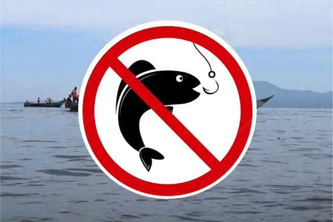 Government intensifies annual fish Ban in Isoka district