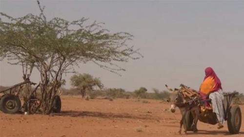 CHILDREN FORCED OUT OF SCHOOL DUE TO SEVERE DROUGHT - SOMALIA