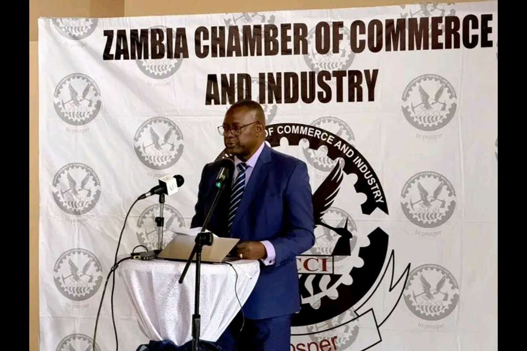 ZACCI Urges Strict Enforcement of Local Content Rules