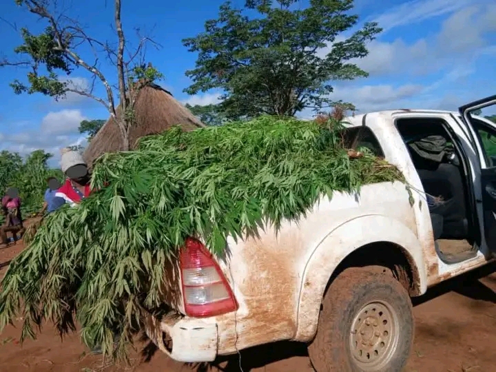  Teen reports parents to police over forced abortion of six-month pregnancy