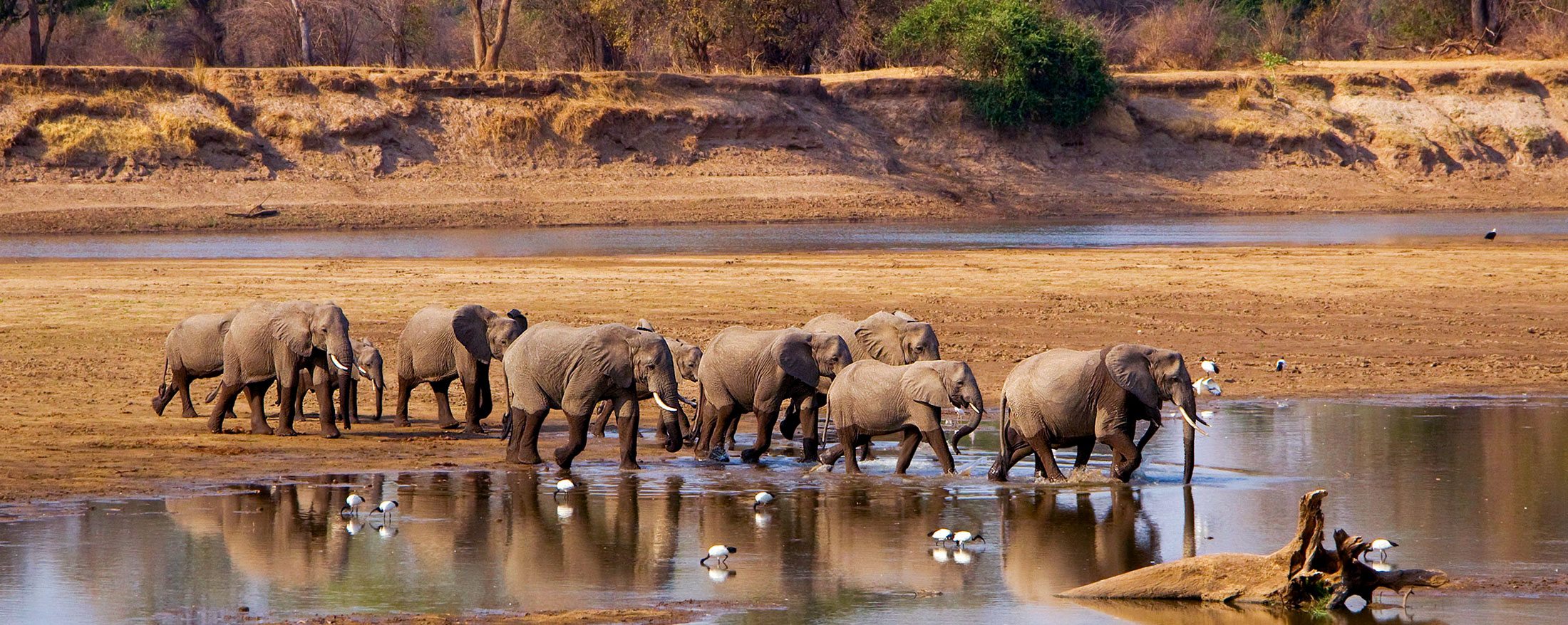  CONSERVATIONISTS ENGAGE TOURISM MINISTRY ON WILDLIFE