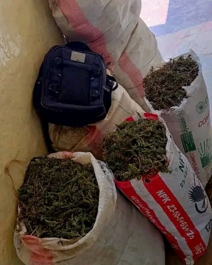 DEC Arrests Two Over 175kg Cannabis Trafficking