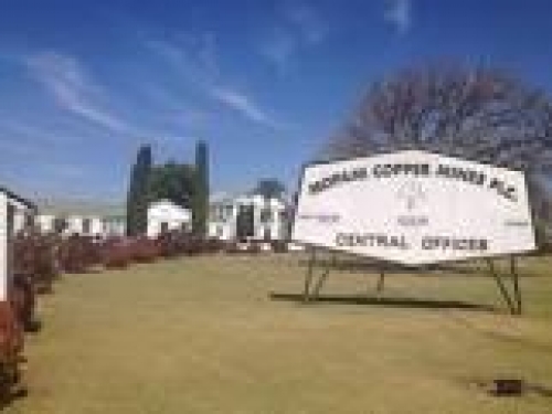 About Mopani Copper mines